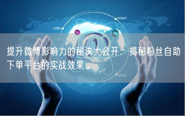 提升微博影响力的秘诀大公开：揭秘粉丝自助下单平台的实战效果。
