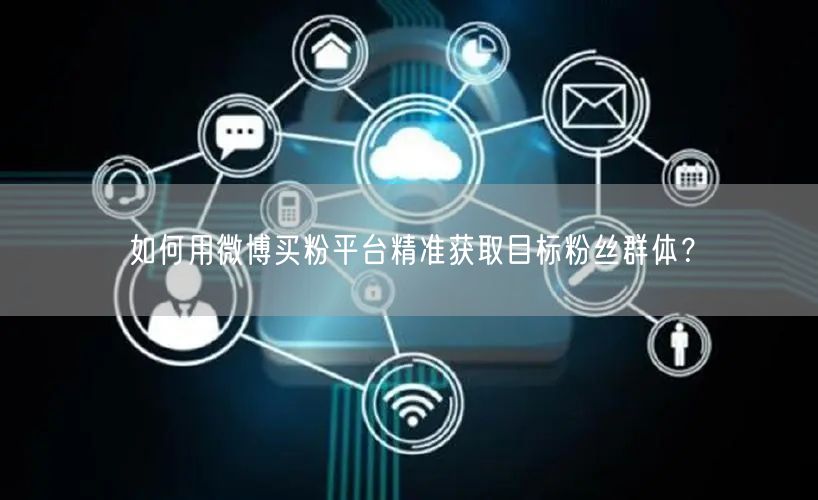 如何用微博买粉平台精准获取目标粉丝群体？