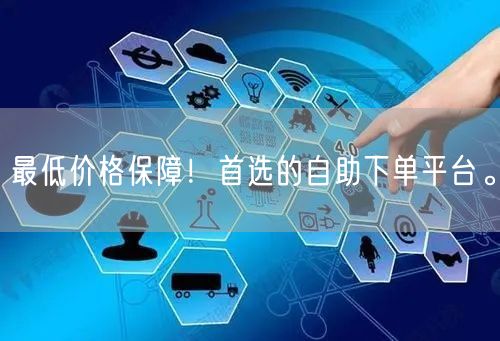 最低价格保障！首选的自助下单平台。