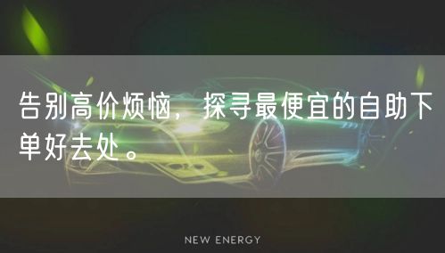 告别高价烦恼，探寻最便宜的自助下单好去处。