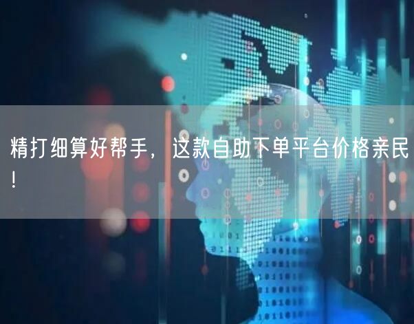 精打细算好帮手，这款自助下单平台价格亲民！