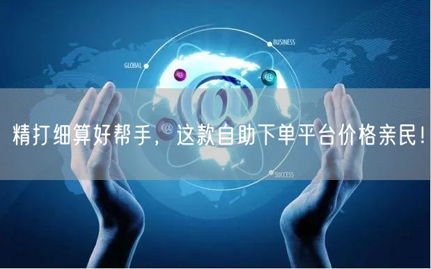精打细算好帮手，这款自助下单平台价格亲民！