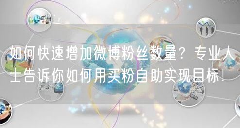 如何快速增加微博粉丝数量？专业人士告诉你如何用买粉自助实现目标！