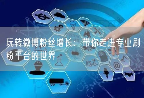 玩转微博粉丝增长：带你走进专业刷粉平台的世界