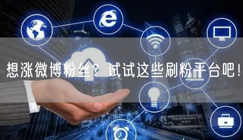 想涨微博粉丝？试试这些刷粉平台吧！