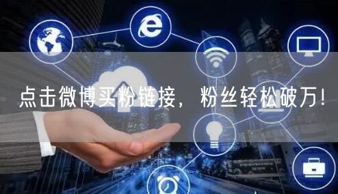 点击微博买粉链接，粉丝轻松破万！