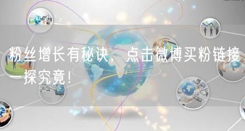粉丝增长有秘诀，点击微博买粉链接一探究竟！
