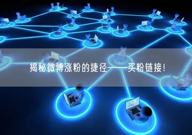 揭秘微博涨粉的捷径——买粉链接！