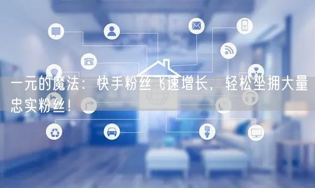 一元的魔法：快手粉丝飞速增长，轻松坐拥大量忠实粉丝！