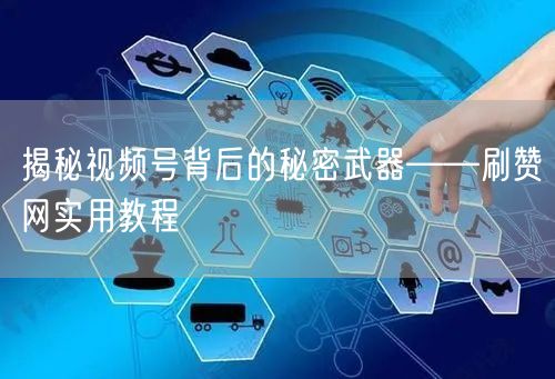 揭秘视频号背后的秘密武器——刷赞网实用教程