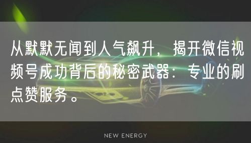 从默默无闻到人气飙升，揭开微信视频号成功背后的秘密武器：专业的刷点赞服务。