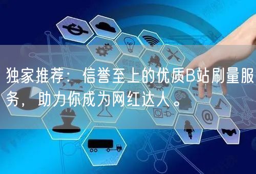 独家推荐：信誉至上的优质B站刷量服务，助力你成为网红达人。