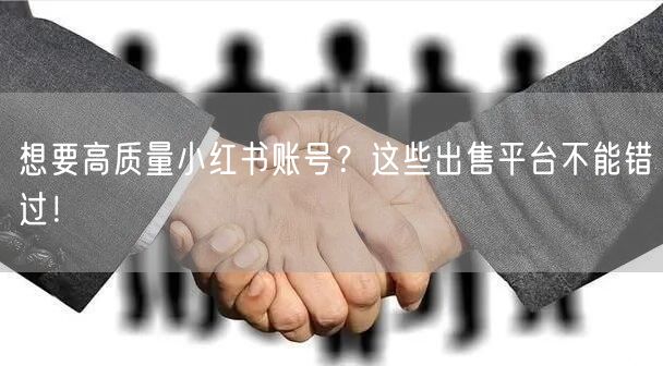 想要高质量小红书账号？这些出售平台不能错过！