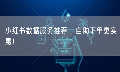 小红书数据服务推荐，自助下单更实惠！