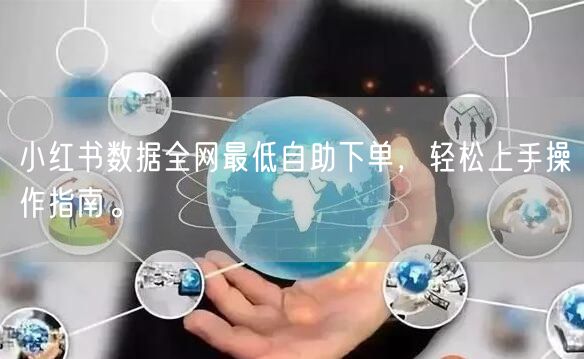 小红书数据全网最低自助下单，轻松上手操作指南。