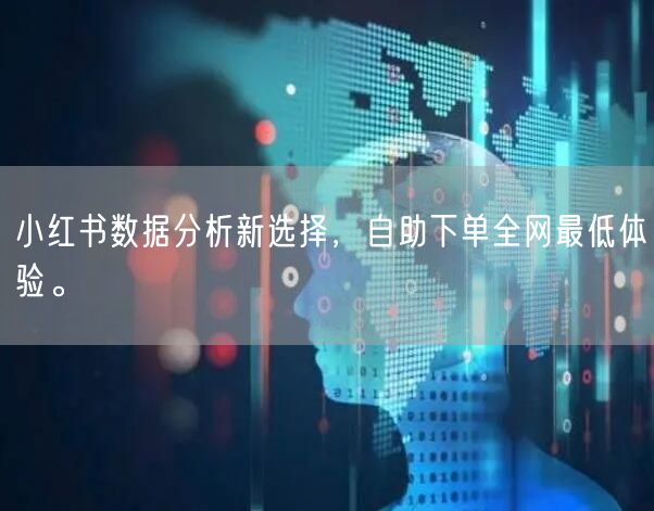 小红书数据分析新选择，自助下单全网最低体验。