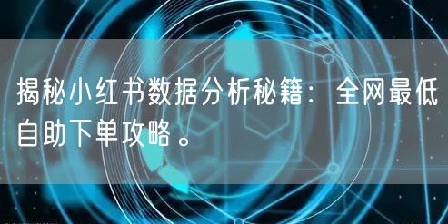 揭秘小红书数据分析秘籍：全网最低自助下单攻略。