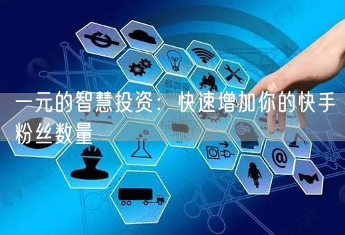 一元的智慧投资:快速增加你的快手粉丝数量