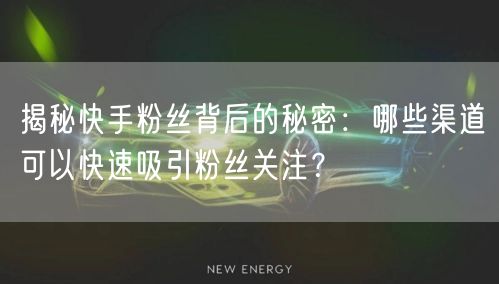 揭秘快手粉丝背后的秘密：哪些渠道可以快速吸引粉丝关注？