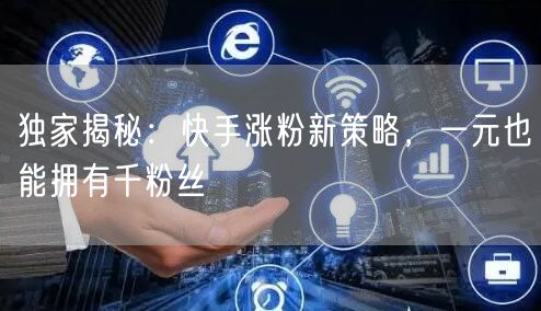 独家揭秘：快手涨粉新策略，一元也能拥有千粉丝