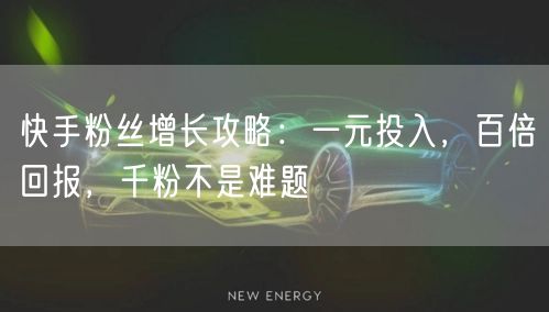 快手粉丝增长攻略:一元投入,百倍回报,千粉不是难题