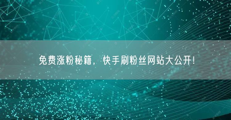 免费涨粉秘籍，快手刷粉丝网站大公开！