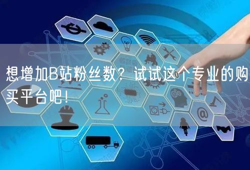 想增加B站粉丝数？试试这个专业的购买平台吧！