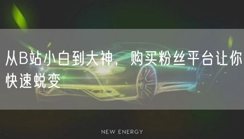 从B站小白到大神，购买粉丝平台让你快速蜕变