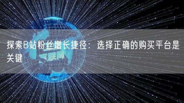 探索B站粉丝增长捷径：选择正确的购买平台是关键