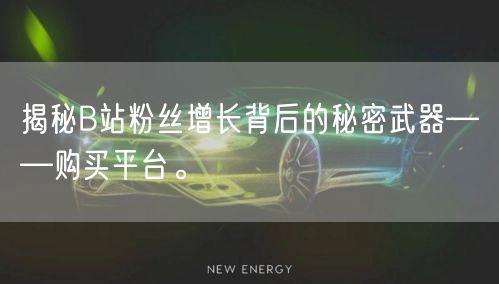 揭秘B站粉丝增长背后的秘密武器——购买平台。