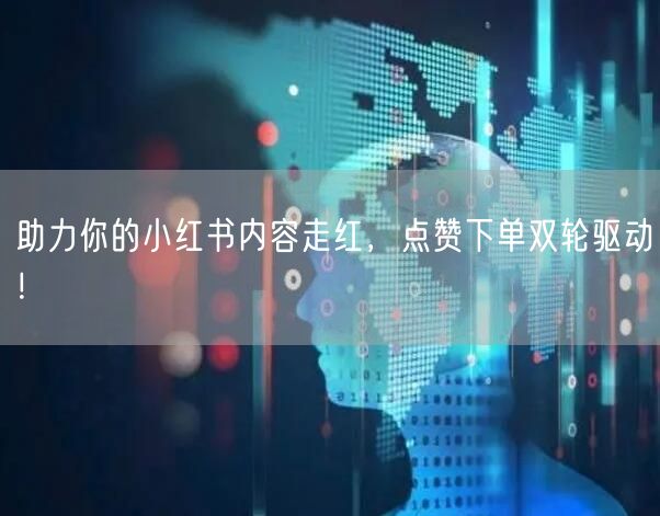 助力你的小红书内容走红，点赞下单双轮驱动！