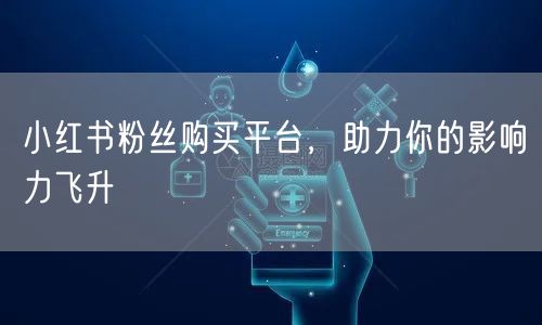 小红书粉丝购买平台，助力你的影响力飞升