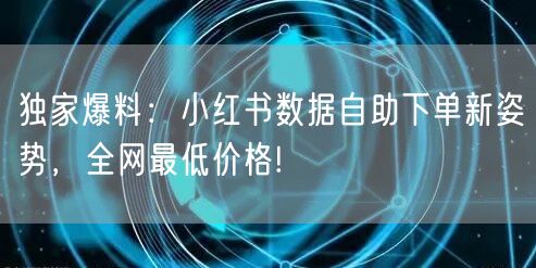 独家爆料:小红书数据自助下单新姿势,全网最低价格!