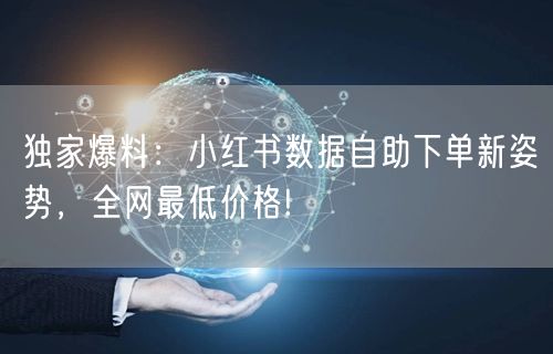 独家爆料:小红书数据自助下单新姿势,全网最低价格!