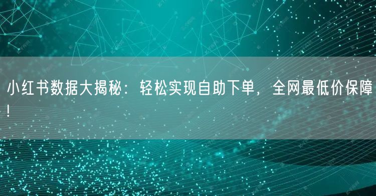 小红书数据大揭秘:轻松实现自助下单,全网最低价保障!