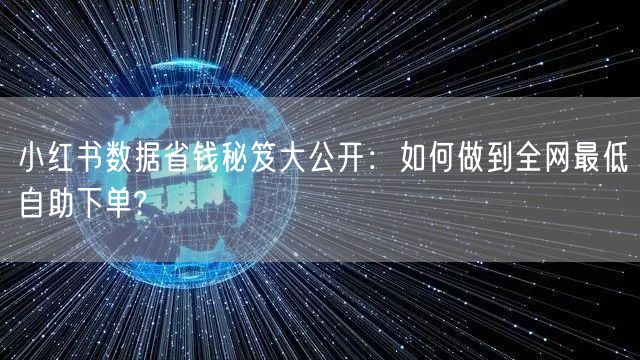 小红书数据省钱秘笈大公开：如何做到全网最低自助下单?