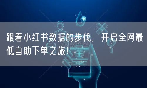 跟着小红书数据的步伐，开启全网最低自助下单之旅！