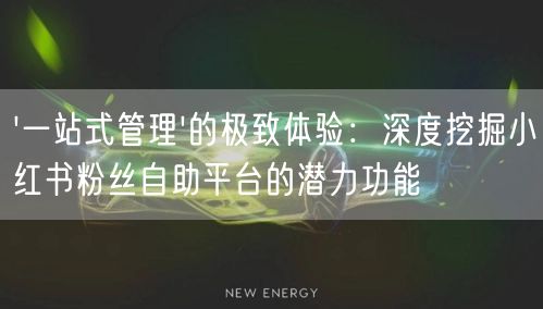 '一站式管理'的极致体验：深度挖掘小红书粉丝自助平台的潜力功能