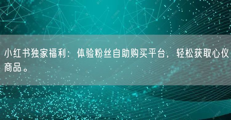 小红书独家福利：体验粉丝自助购买平台，轻松获取心仪商品。