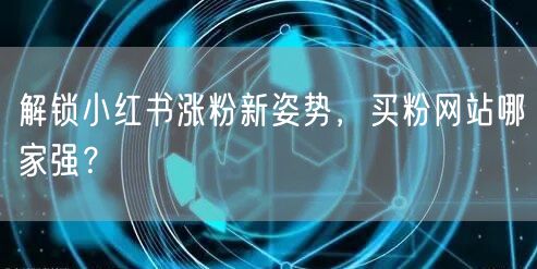 解锁小红书涨粉新姿势，买粉网站哪家强？