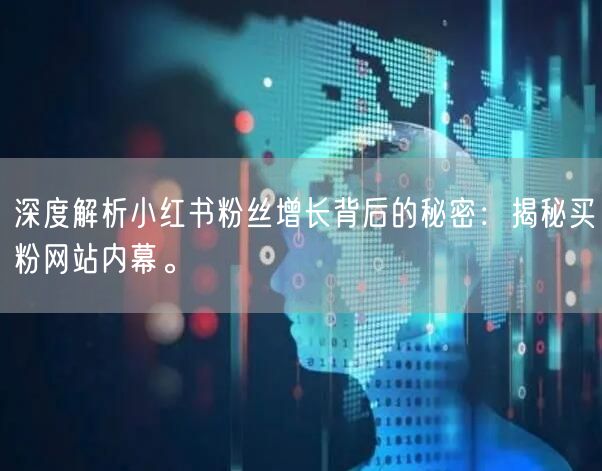 深度解析小红书粉丝增长背后的秘密：揭秘买粉网站内幕。