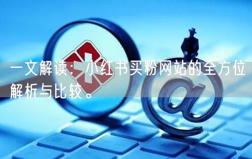一文解读：小红书买粉网站的全方位解析与比较。