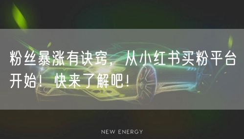 粉丝暴涨有诀窍，从小红书买粉平台开始！快来了解吧！