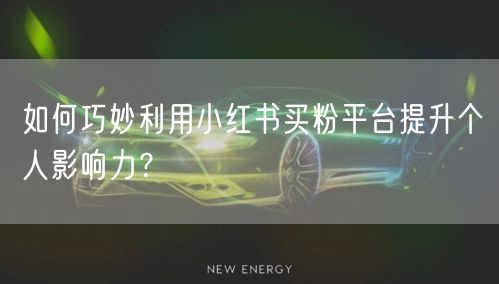 如何巧妙利用小红书买粉平台提升个人影响力？