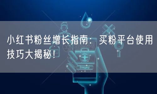 小红书粉丝增长指南：买粉平台使用技巧大揭秘！