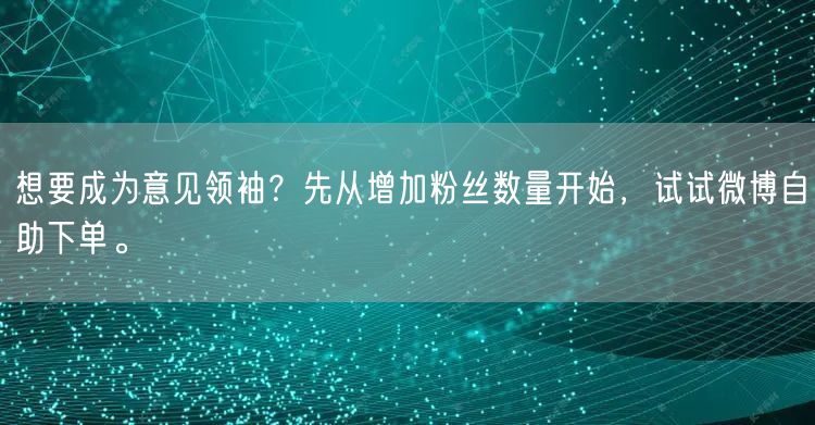 想要成为意见领袖？先从增加粉丝数量开始，试试微博自助下单。